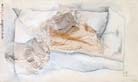 Nylon fossile